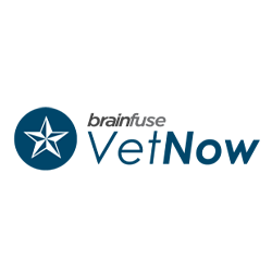 VetNow