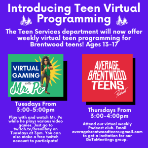 Teen Virtual Programming Flyer