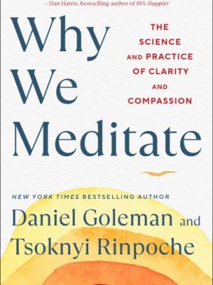 Why we meditate : the science and practice of clarity and compassion