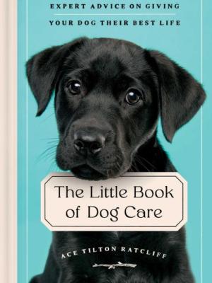 The little book of dog care