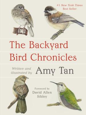 4 small birds placed at each corner, Title: The backyard Bird Chronicles